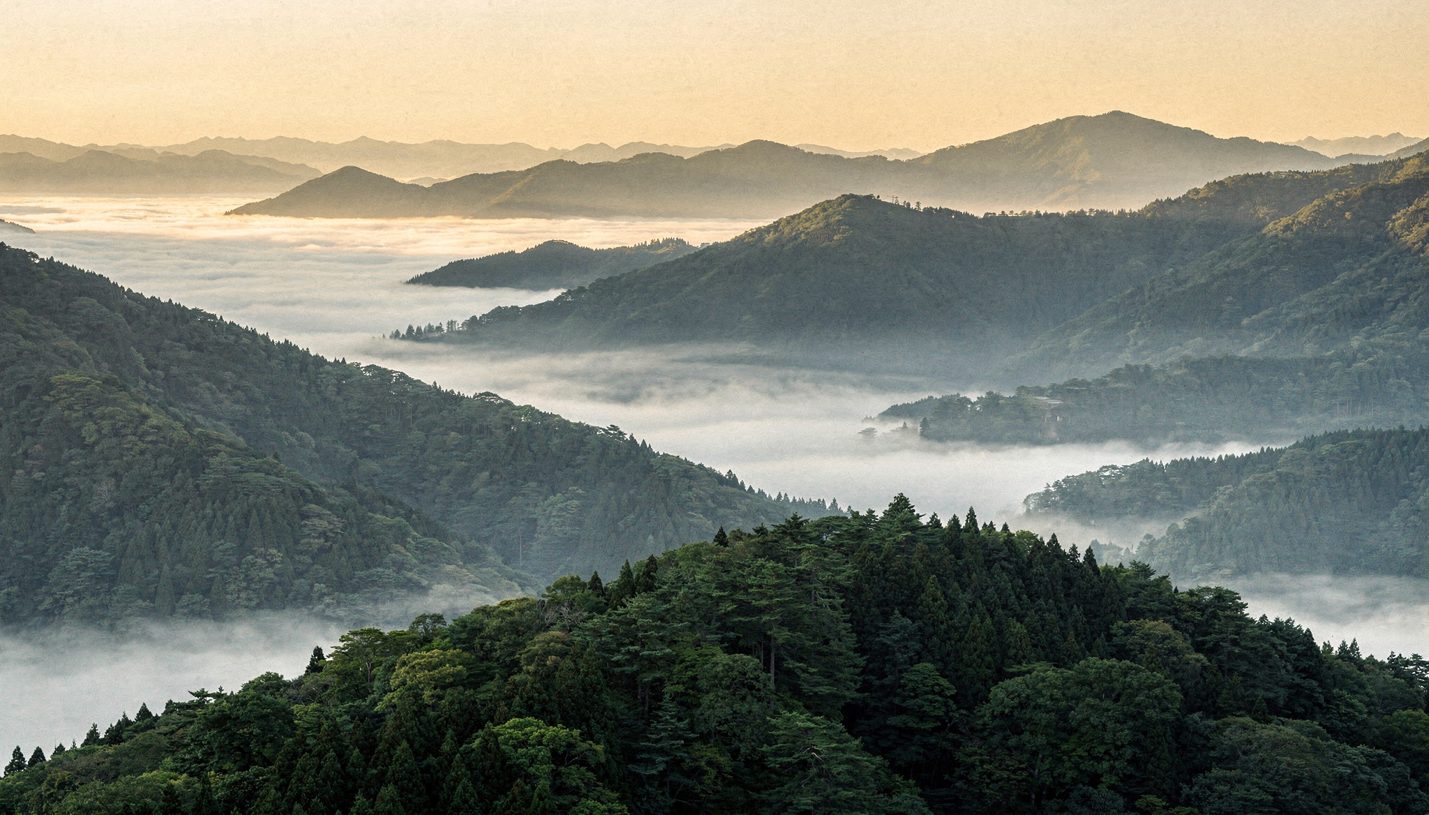夜明けの中国山地（イメージ）